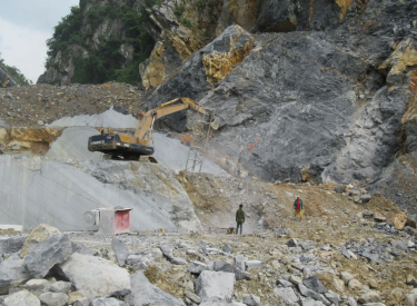 Why Choose Vietnam Bluestone – Vietnam Blue Limestone – Thanh Hoa Bluestone?
